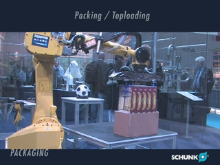 Packaging 包装